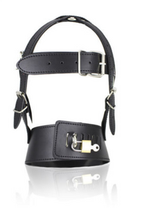 Bondage Lockable Gimp Mask
